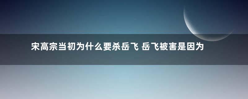 宋高宗当初为什么要杀岳飞 岳飞被害是因为二圣吗